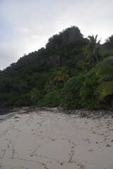 A lush green tropical paradise island with palm trees and white sandy beaches on Fiji in the...