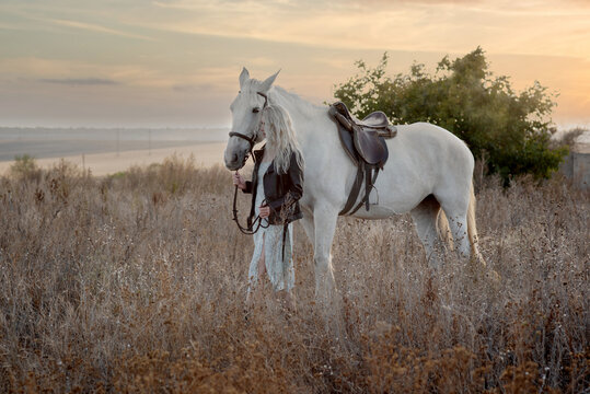 A beautiful young blonde girl in a dress stands in a field with a white horse - Powered by Adobe