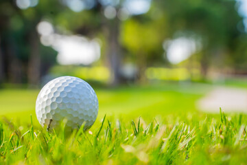 A golf ball on the golf course