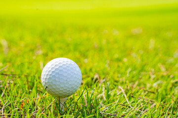 A golf ball on the golf course