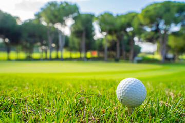 A golf ball on the golf course