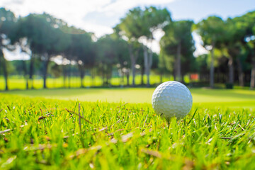 A golf ball on the golf course