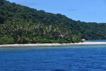 A lush green tropical paradise island with palm trees and white sandy beaches on Fiji in the...