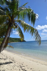A lush green tropical paradise island with palm trees and white sandy beaches on Fiji in the Pacific Ocean