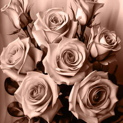 Mocha Mousse background Color of 2025 year. Bouquet of roses. Romance of Valentine's Day.