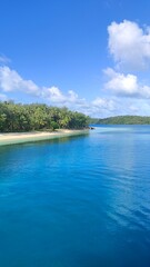 The green palm trees and mangroves along the turquoise Pacific Ocean at a paradise island in Fiji