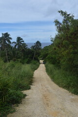 The turquoise blue Pacific Ocean and green lush island landscapes of Polynesian Tonga © ChrisOvergaard