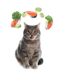 Cute cat surrounded by flying vegetables and raw salmon steaks on white background. Natural pet food