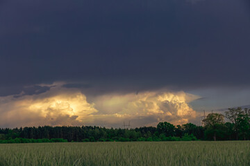 Rozległa równina porośnięta młodym, zielonym zbożem. Niebo pokryte jest ciemnymi, złowrogimi chmurami. Na linii horyzontu widać przejaśnienie z bałymi, kłębiastymi chmurami. © boguslavus