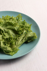 cucumber lettuce ingredient harvest fresh herbal salad garden summer organic herb farming fresh leaf