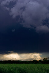 Rozległa równina porośnięta młodym, zielonym zbożem. Niebo pokryte jest ciemnymi, złowrogimi chmurami. Na linii horyzontu widać przejaśnienie z bałymi, kłębiastymi chmurami. © boguslavus