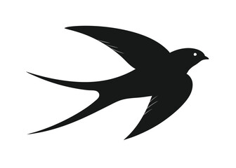 common-swift--silhouette--on-white-background.eps
