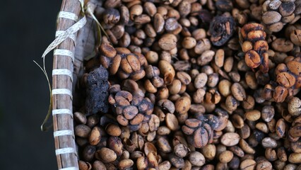 Coffee beans that are being dried in the sun after being washed from Civet droppings. Civet coffee ingredients.