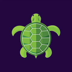 turtle with a globe