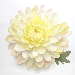 A delicate, pale yellow flower with layered petals and a green leaf, showcasing beauty and elegance in a minimalist design.