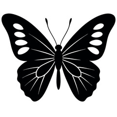 Butterfly silhouettes flying
