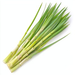 Fototapeta premium Fresh lemongrass stalks with long green leaves, commonly used in cooking for their citrus flavor and aroma.
