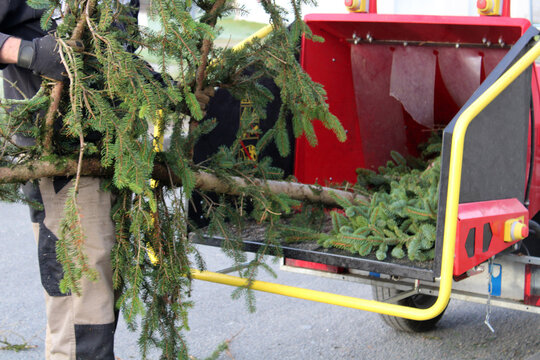 Broyeur de v&eacute;g&eacute;taux, &eacute;lagage d'arbre et de v&eacute;g&eacute;taux du jardin