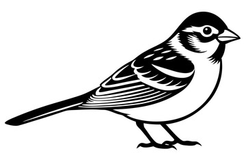 bird on a branch