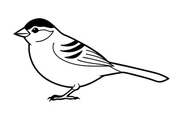 illustration of a bird