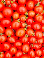 red tomatoes background