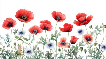 Fototapeta premium Watercolor Floral Art with Poppies and Anemones
