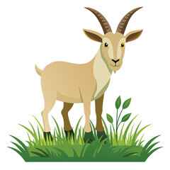 goat-long-grass-white-background.eps