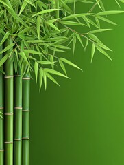 Bamboo forest render nature graphic design with green appeal