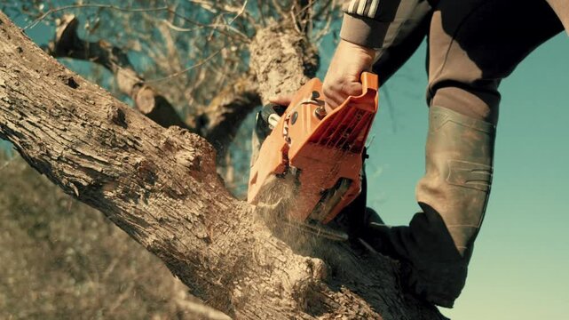 Chainsaw cutting wood. Man carving wood with a elettric saw.