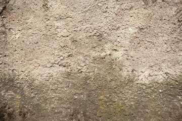 Texture of an Ancient Plastered Wall