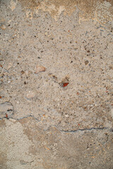 Texture of an Ancient Plastered Wall