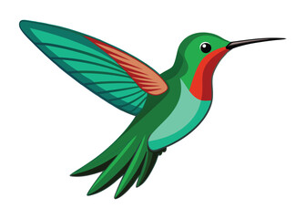 hummingbird-on-white-background.eps