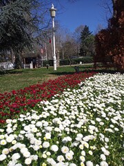 Fr&uuml;hling in Istanbul
