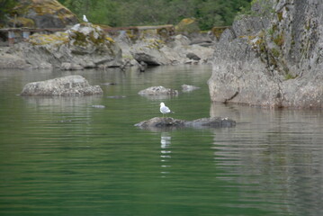 MOLDEN NATURE NORWAY