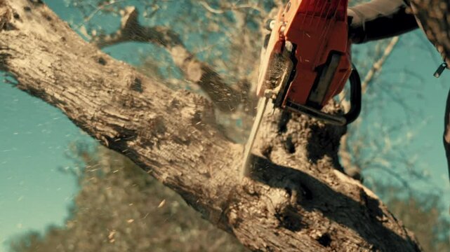 Chainsaw cutting wood. Man carving wood with a elettric saw.