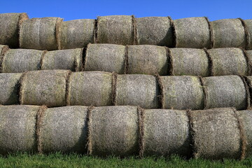 Obraz premium Bale.