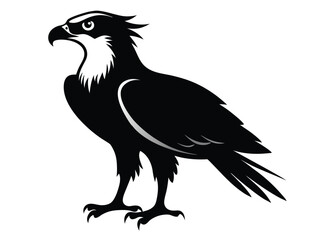 ospreys--silhouette--on-white-background.eps