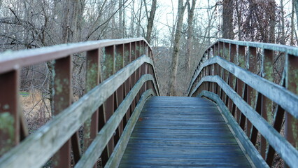 Fototapeta premium One wooden bridge located in the wild forest