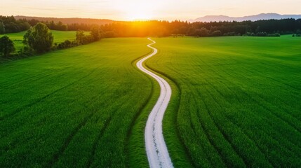Fototapeta premium Farmland fields landscape sunset, Scenic sunset over a winding path through lush green fields, creating a tranquil atmosphere.