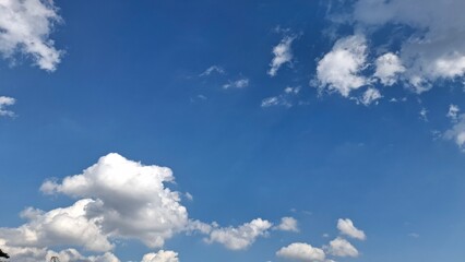 Stillness in Blue: A Calm Afternoon
