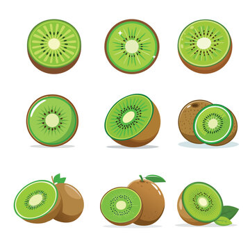 vector Fresh kiwi fruit illustrations with vibrant green flesh and brown skin