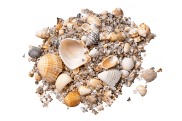 Sand and sea shells beach theme background isolated on a white background