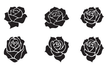 Rose flowers Collection