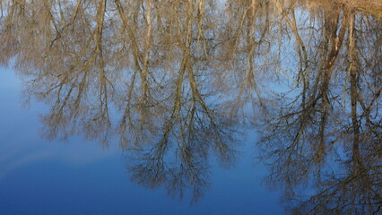 The forest landscape with one river running in the valley in winter
