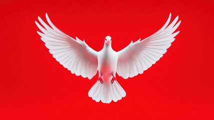 Obraz premium A white dove with outstretched wings against a vibrant red background.