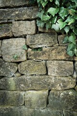 Rustikale Trockenmauer bedeckt mit grünem Efeu. Natürliche Textur und Struktur, ideal als Hintergrund für Präsentationen, Werbung und Banner. Schöne Verbindung von Natur und Architektur