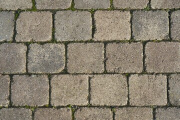 Rustikale Trockenmauer bedeckt mit grünem Efeu. Natürliche Textur und Struktur, ideal als Hintergrund für Präsentationen, Werbung und Banner. Schöne Verbindung von Natur und Architektur