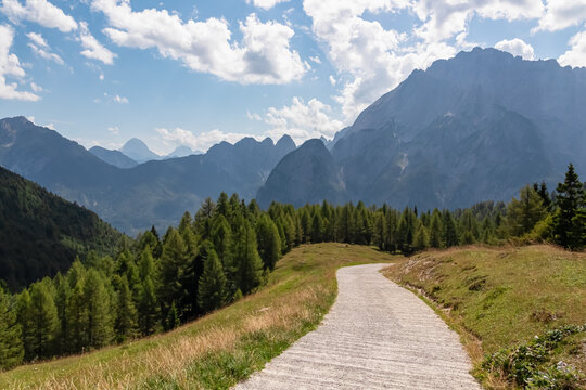 Winding hiking path through lush meadow with view of majestic mountains peaks Julian Alps in Somdogna, Friuli Venezia Giulia, Italy. Slopes covered in coniferous forest. Exploration of natural beauty