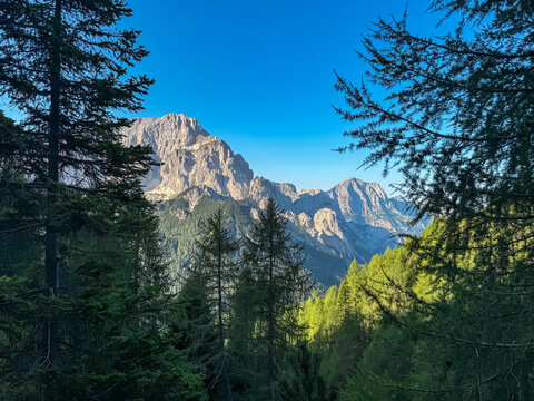 Silhouette of coniferous forest framing scenic view of mountain peak Jof di Montasio. Majestic ridges of Julian Alps seen from Dogna, Friuli Venezia Giulia, Italy. Wanderlust in alpine wilderness
