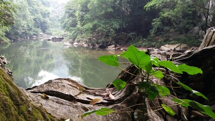 Naturaleza: hábitat en conservación